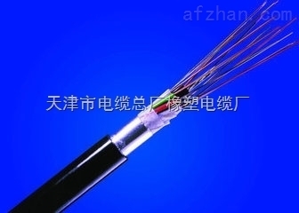 MGTSV-礦用阻燃單模光纜 守護礦井通信的安全防線